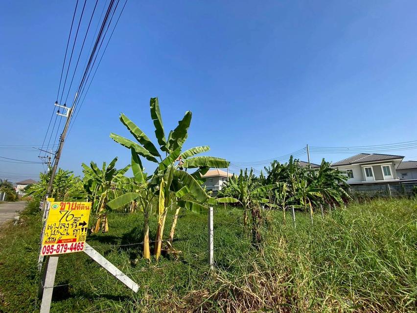 ขายต่ำกว่าประเมิน ที่ดินหมู่บ้านปาริชาต 76 ตรว ถมแล้วทั้งแปลง โซน A62/1 ถนน 345 อ.เมืองปทุมธานี จ.ปทุมธานี 4