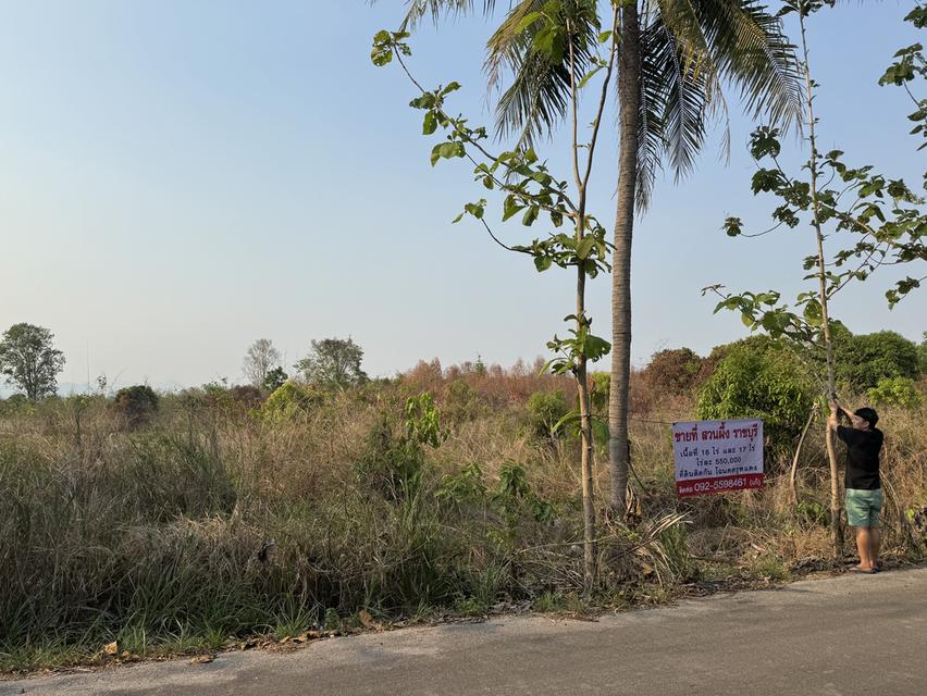 ขายที่ดินสวนผึ้งราชบุรี 34 ไร่ 5