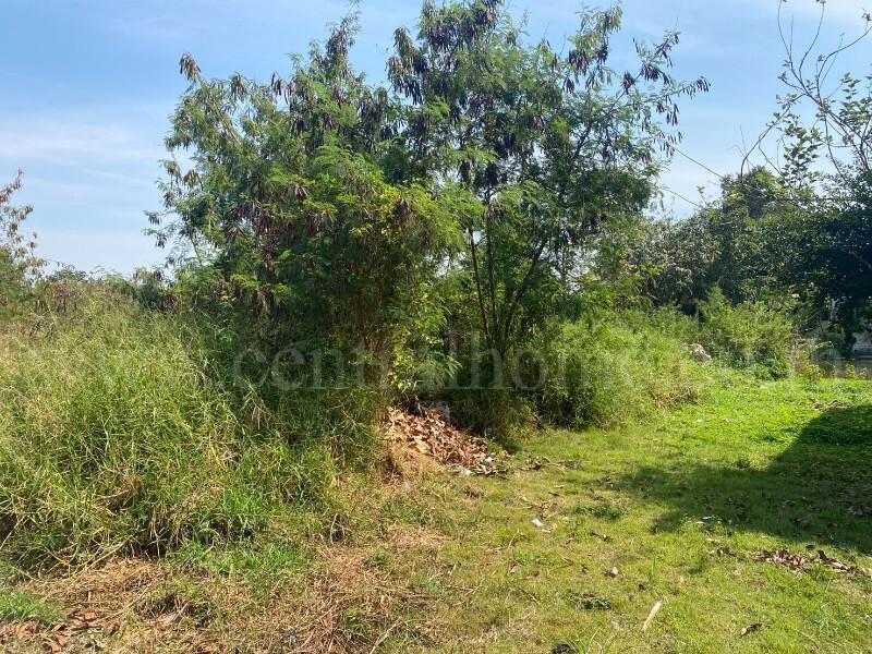 ที่ดินเปล่า ถมแล้ว 308.9 ตร.วา หมู่บ้าน การ์เด้นลากูน่า - ฉะเชิงเทรา แปลงมุม 6