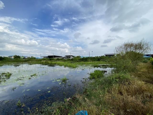 ขายที่ดินเปล่า ทำเลดี เจ้าของขายเอง ตำบลคลองด่าน อำเภอบางบ่อ สมุทรปราการ 13