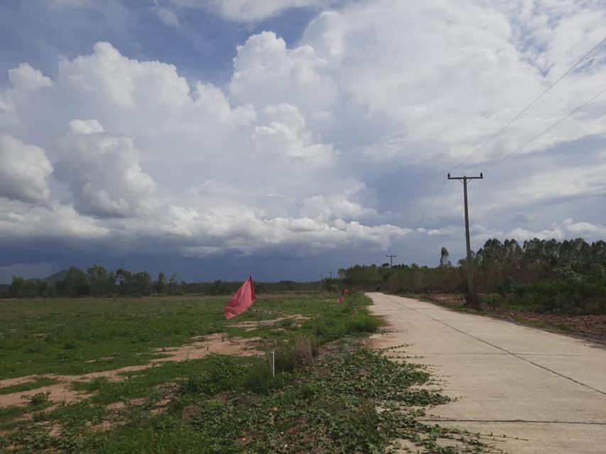 ขายที่ดิน 2 ไร่ ติดถนนคอนกรีต ไฟฟ้า-ประปาผ่าน บรรยากาศดี เงียบสงบ เป็นสถานที่สัปปายะ 4