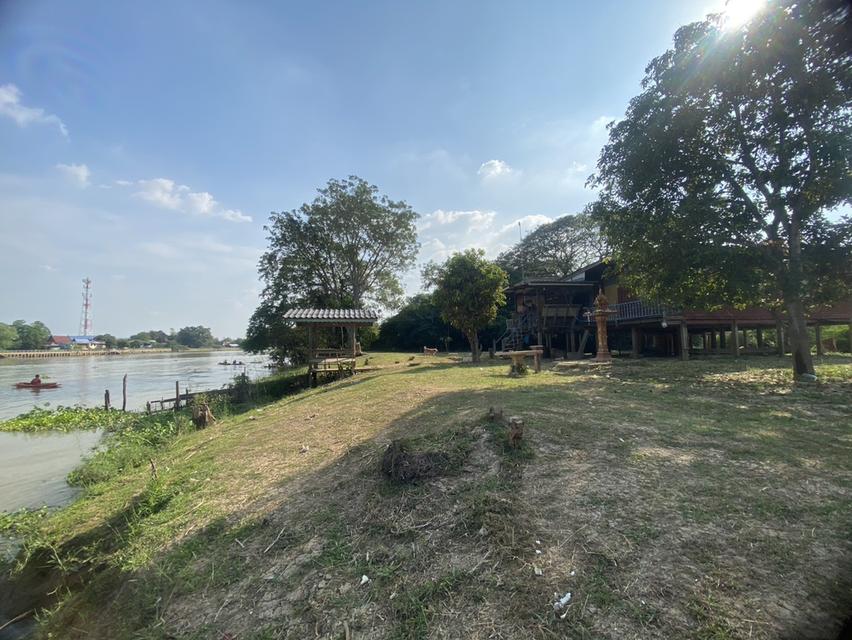 ที่ดินผืนงามริมแม่น้ำเจ้าพระยา – อัญมณีแห่งบางปะอิน 18
