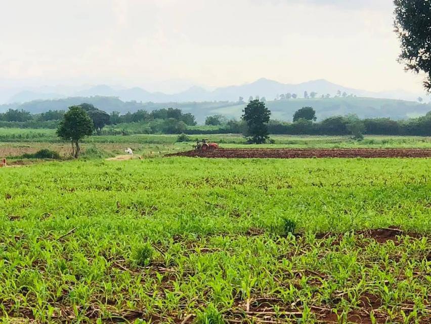 ขายที่ดินปากช่อง หนองสาหร่าย 7 ไร่ 19 ไร่ ที่สูงลักษณะบนเนินเขา เทควิวเขาสวย เหมาะทำบ้านสวนตากอากาศ อยู่ 2235 ใกล้ถนนมิตรภาพ ไปร้านค้า ร้านอาหาร ตลาด