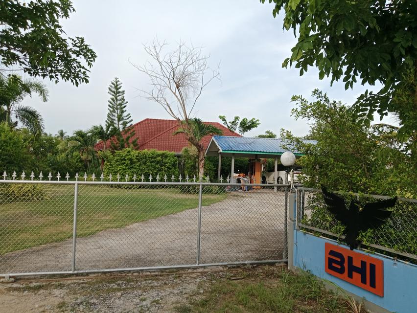 ขายบ้านตะเคียนเตี้ยจำนวน 1 ไร่บ้านพร้อมสิ่งปลูกสร้าง 9