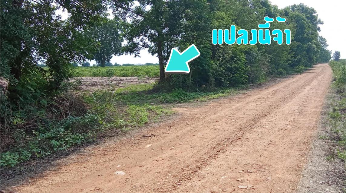 ที่ดินโฉนด 1 ไร่ 312 ตารางวา 20