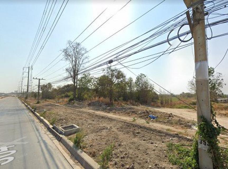 รูป ขายที่ดินพนมสารคาม 110 ไร่ ติดถนนเส้นฉะเชิงเทรา-กบินทร์บุรี(304) เขาหินซ้อน จ.ฉะเชิงเทรา 1