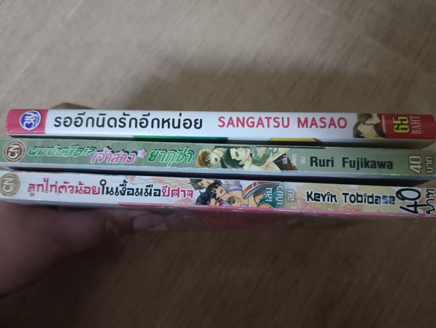 นิยายการ์ตูนวายมือสอง รูปที่ 3