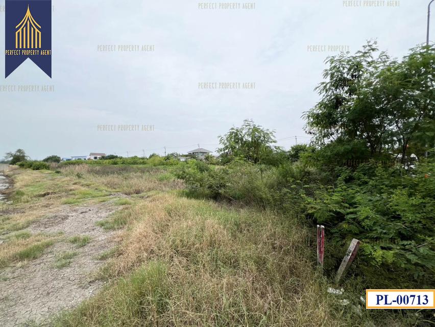 ขายที่ดิน 77ไร่ แบ่งได้ สีม่วงเข้ม สร้างโรงงาน บางบ่อ สมุทรปราการ ใกล้นิคมเวลโกรว Wellgrow Industrial Estate 3