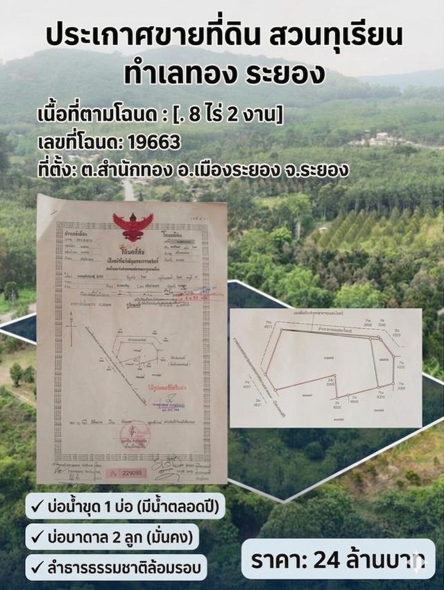 สวนทุเรียน ที่ดินทำเลดี ฮวงจุ้ยมังกรโอบทรัพย์ อ.เมือง จ.ระยอง หรือเหมาะสำหรับทำบ้านจัดสรร รีสอร์ท 2