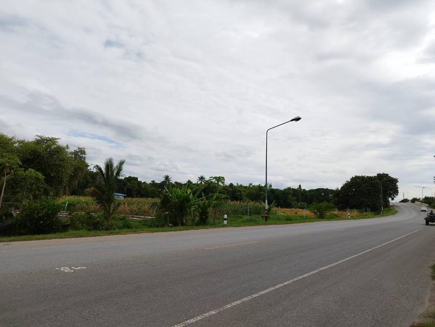 ขายด่วน ที่ดินสวยติดแม่น้ำท่าจีนราคาถูก 3