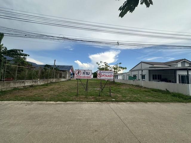 ขายที่ดินตัวเมืองพนัสนิคม บนเนื้อที่ 287 ตรว.เหมาะสำหรับ:ปลูกบ้าน, หอพัก, บ้านจัดสรร, แบ่งล็อค 1