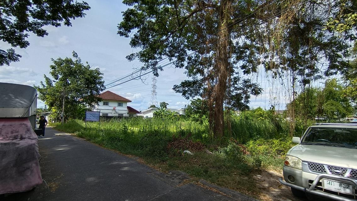 ขาย ที่ดินแปลงสวยสำหรับนักลงทุนและผู้ที่กำลังมองหาที่ดินเปล่า