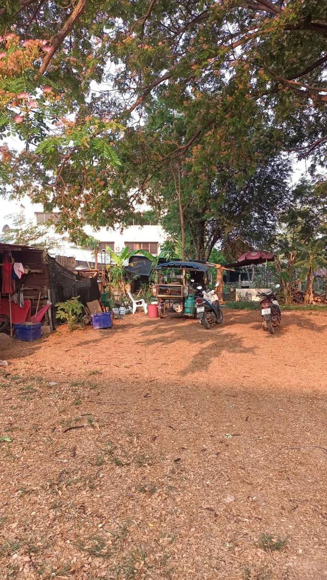 ที่ดินว่างเปล่า 2 ไร่ ติดถนนคอนกรีต(กว้าง16 เมตร) ย่านธุรกิจและที่อยู่อาศัยหนาแน่น 11