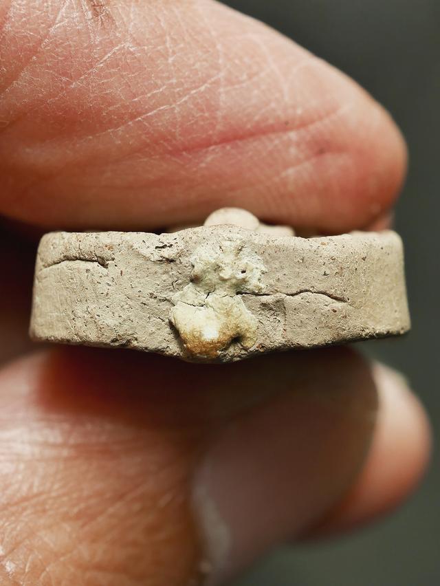 พระหลวงพ่อปาน วัดบางนมโค พิมพ์ขี่เม่นมังกร เก่า เดิมๆ 11