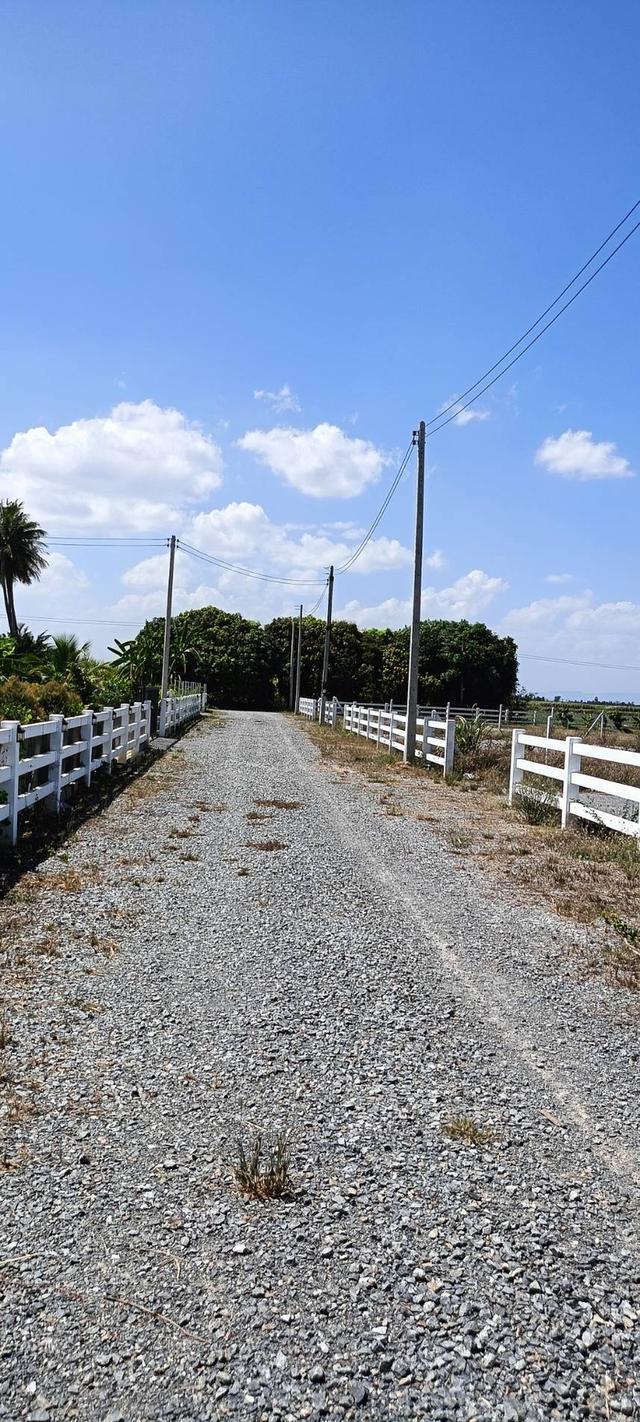 ที่ดินสไตล์ปลูกบ้านสวน รูปย่อยที่ 2