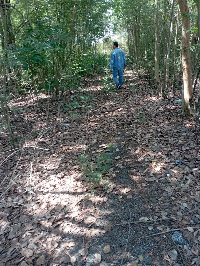 ที่ดินคลอง10 หนองเสือ  แปลงละ60 ตารางวา ราคา300000บาท 7