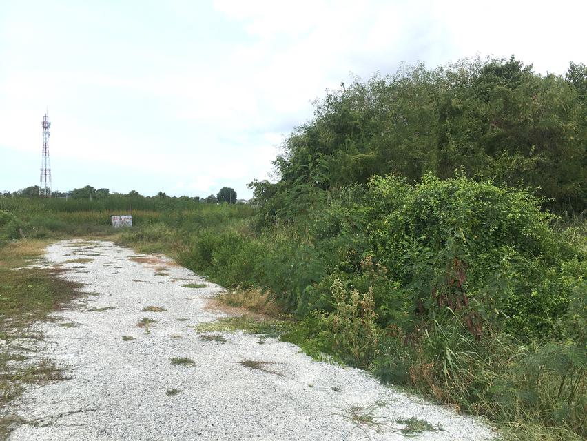 ขายที่ดิน 1-3-2ไร่ ติดถนน เสม็ด-อ่างศิลา ในเมืองชลบุรี ติดปั้ม ปตท.อ่างศิลา ตำบลเสม็ด อำเภอเมืองชลบุรี ห่างถนนเสม็ด-อ่างศิลา 3