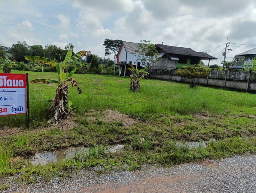 ที่ดินเปล่า (มีโฉนด) 1