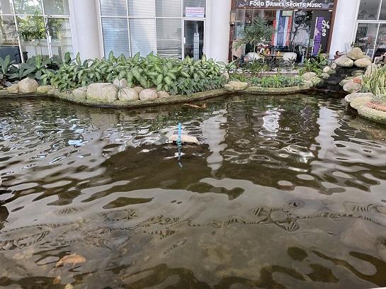 ขาย Condo Pattaya ติดทะเล, Park Beach Condominium, หาดวงศ์อมาตย์, Fully Furnished, ราคาพิเศษ 2.79 ล้านบาท  6