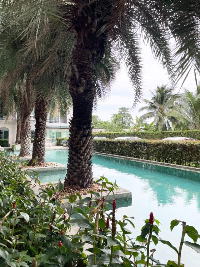 ขายคอนโดพร้อมผู้เช่า อินซิโอ้ เสรีไทย ชั้น 4 อาคาร B ใกล้รถไฟฟ้าสายสีส้ม สถานีคลองบ้านม้า 8