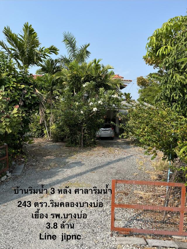 ขายบ้านที่ดิน243 ตรว พร้อมบ้าน3หลัง ริมน้ำ ไกล้โรงพยาบาลบางบ่อ จ.สมุทรปราการ ติดต่อไลน์: jipnc #ขายบ้าน #สมุทรปราการ #บางบ่อ 1