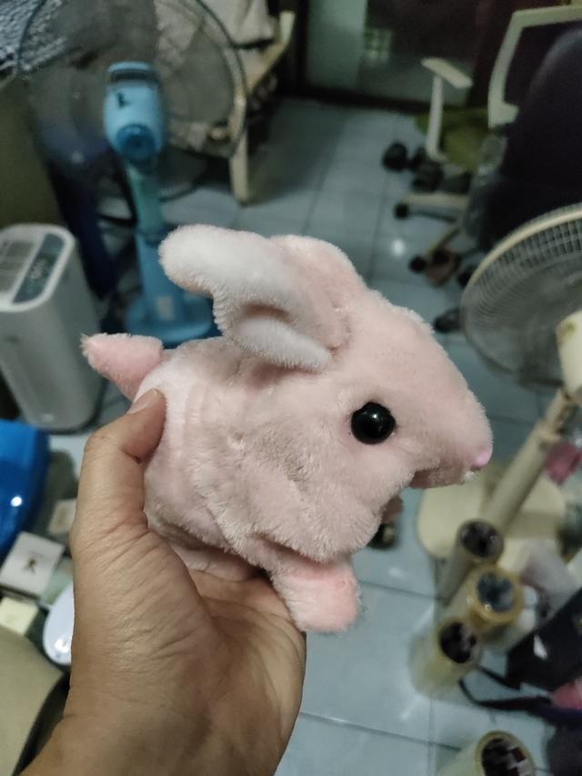 กระต่ายสีชมพูเดินได้งานดี 2