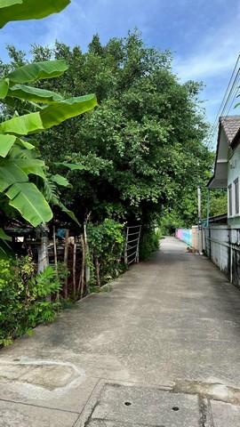 ขายที่ดิน 82 ตารางวา อยู่ในหมู่บ้าน ตำบลหาดเจ้าสำราญ อำเภอเมืองเพชรบุรี จังหวัดเพชรบุรี 2