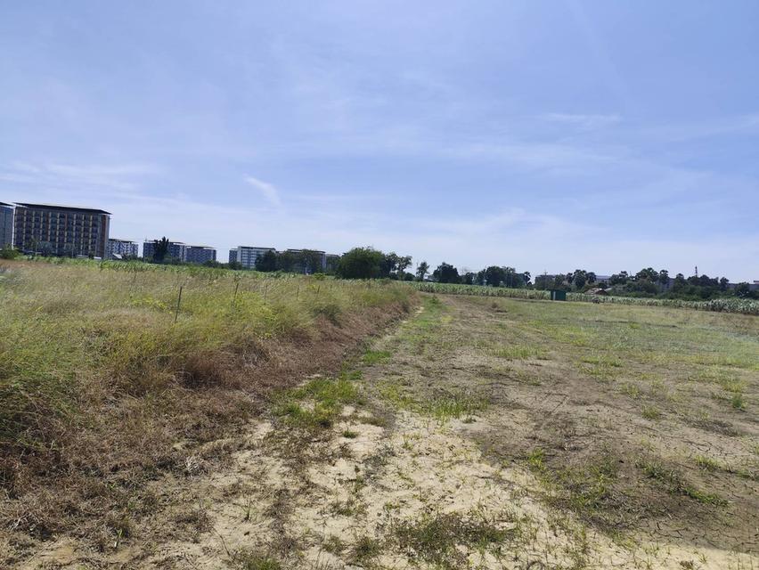 Sale large land 9.3 Rais suitable for projects or building house etc, can be subdivided Kamphaeng Saen District, Nakhon Pathom Province near Bangkok 11