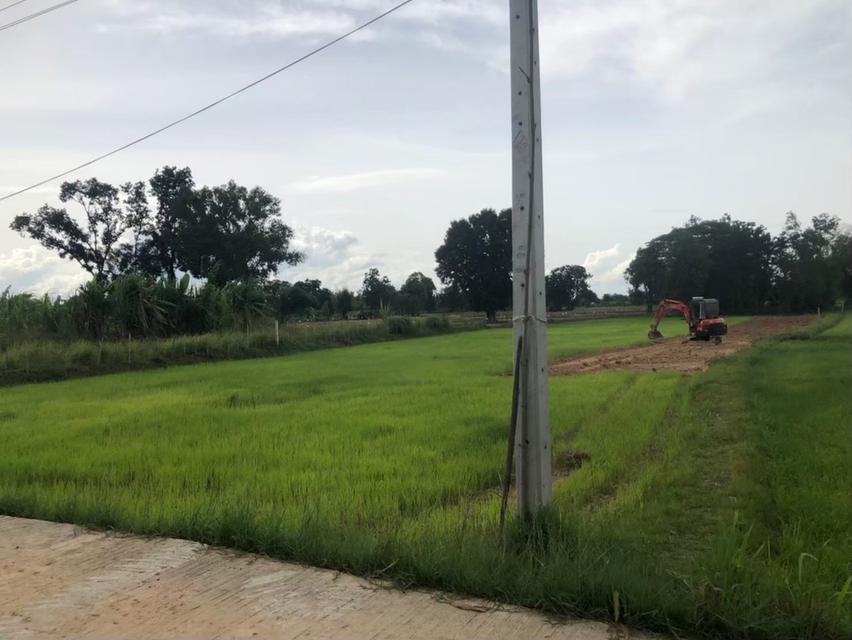 เจ้าของขายเอง ขายที่ดิน 5 ไร่กว่า ติดถนน น้ำ-ไฟ ถึง ห่างสถานีรถไฟ อำเภออุทุมพรพิสัย 5 กิโล เดินทางสะดวกมาก 3