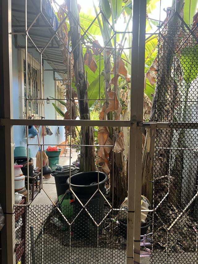 ขายทาวเฮ้าส์ ทาวโฮม ตังหวัดสมุทรสงคราม 13