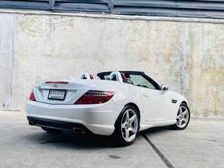 รีบขาย MERCEDES-BENZ SLK-CLASS 2