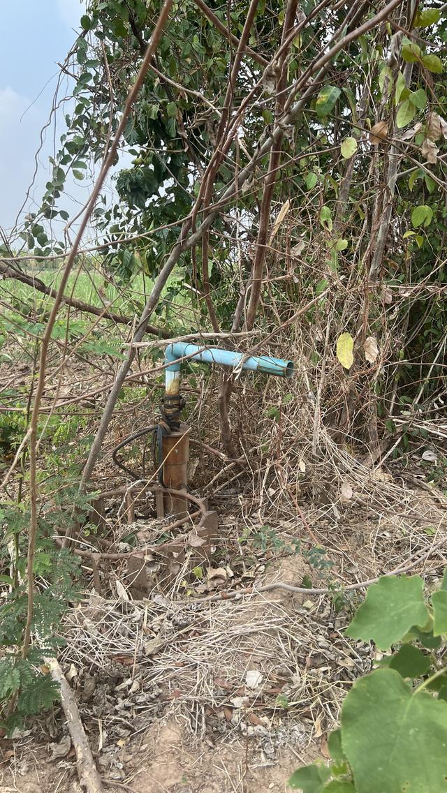 ที่ดิน ขนาด 37 ไร่ 2 งาน อำเภอศศรีนคร จังหวัดสุโขทัย 18