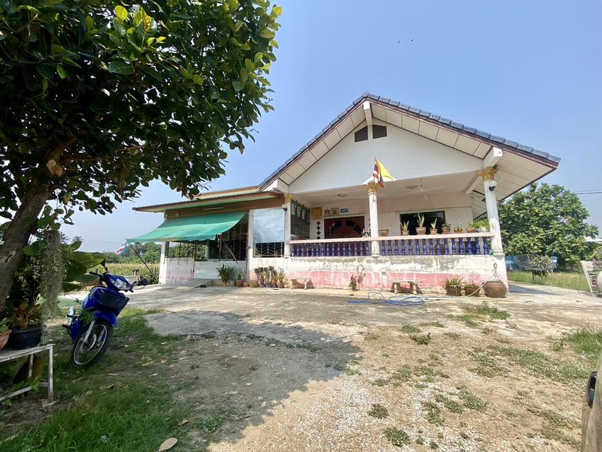 ขายบ้านพร้อมที่ดิน 360 ตารางวา 5