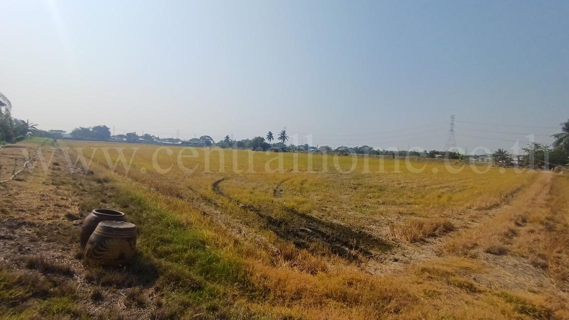 ที่ดิน 34-1-44 ไร่ ไทรน้อย นนทบุรี ทำเลดี ราคาถูกมาก 5