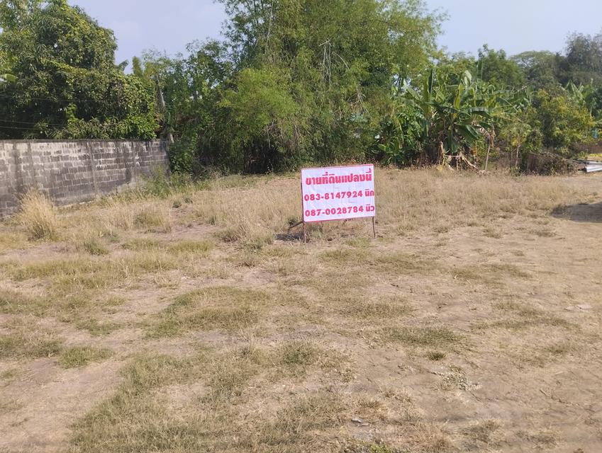 ที่ดินในตัวเมืองลพบุรี 2