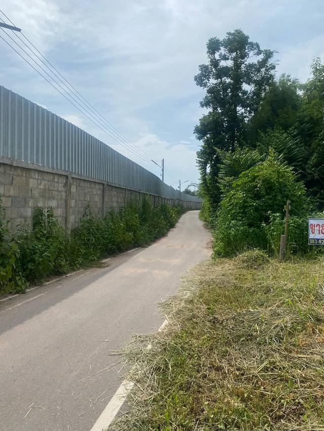 📣 โอกาสทอง! ที่ดินเกือบ 2งาน 270,000บาท ทำเลดี อ.เมืองลำพูน ราคาสุดคุ้ม! 🏡✨ 8