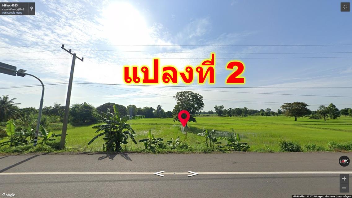 ที่ดินเปล่าทำเลทอง อำเภอเมือง บุรีรัมย์ ที่เปล่า 2 ไร่ แบ่งขาย 5