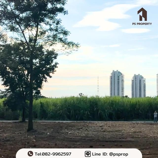 ขายที่ดินทำเลสวย 2 แปลง ต.บางพระ อ.ศรีราชา จ.ชลบุรี อยู่ติดกับร้านอาหารสวนเขาพุ 6