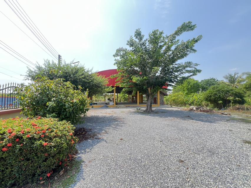 ขายด่วน! ที่ดินผืนใหญ่ 12 ไร่ พร้อมบ้าน 4 หลัง (ตกแต่งด้วยไม้สัก) – อ.สามชุก จ.สุพรรณบุรี 7