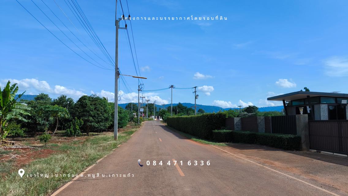 เขาใหญ่ | ปากช่อง โซนหมูสี *ด้านหลังติดเขา* ใกล้ MADAME VALLEY(มาดามแป้ง) เนื้อที่ 4-3-69 ไร่ ราคา 3.5 ล้าน/ไร่ 9