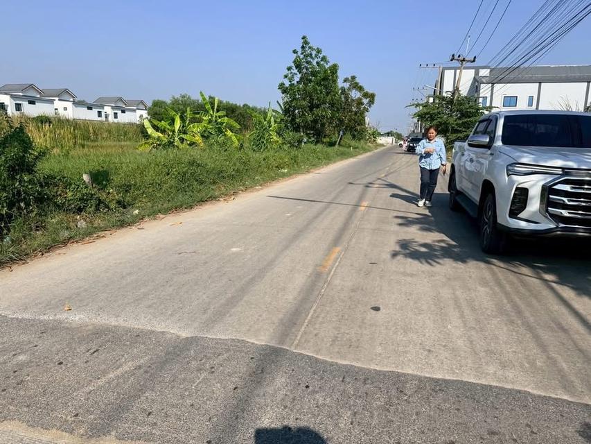 ขายด่วนที่ดินคลองสอง 300 ตารางวา ติดถนนคอนกรีต บงกช14 คลองหลวง ปทจ 7