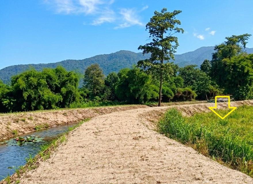 ที่ดินติดลำห้วย วิวเขาล้อมรอบ 3