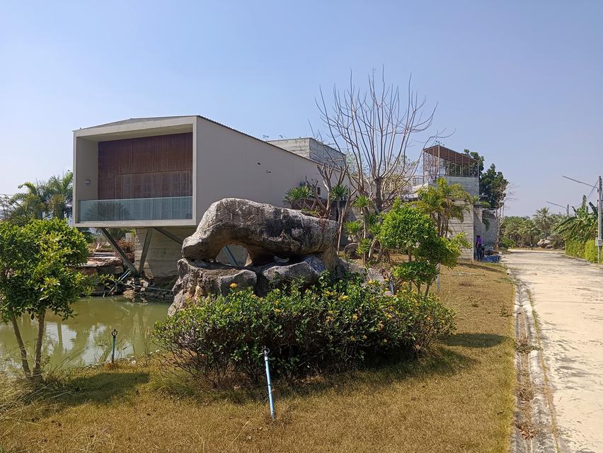 ขายที่ดินเนื้อที่ 9-1-52.4 ไร่ พร้อมสิ่งปลูกสร้าง ต.ทุ่งหลวง อ.ปากท่อ จ.ราชบุรี 10