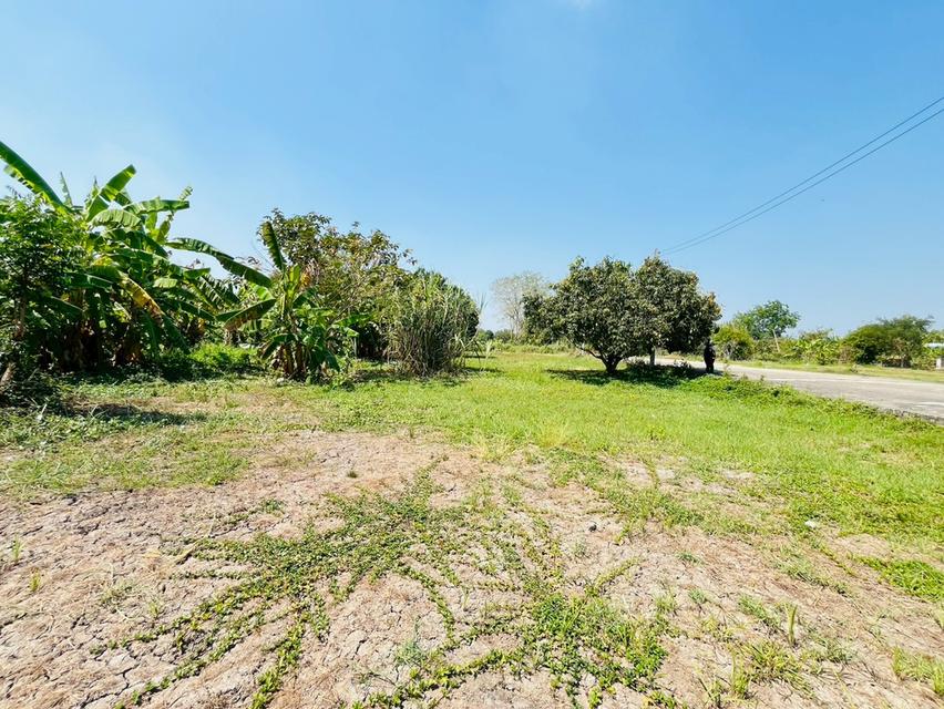 ที่ดิน พร้อมบ้านเดี่ยว 2 ชั้น ถนนรังสิต-นครนายก ตำบลบึงน้ำรักษ์ อำเภอธัญบุรี จังหวัดปทุมธานี 10