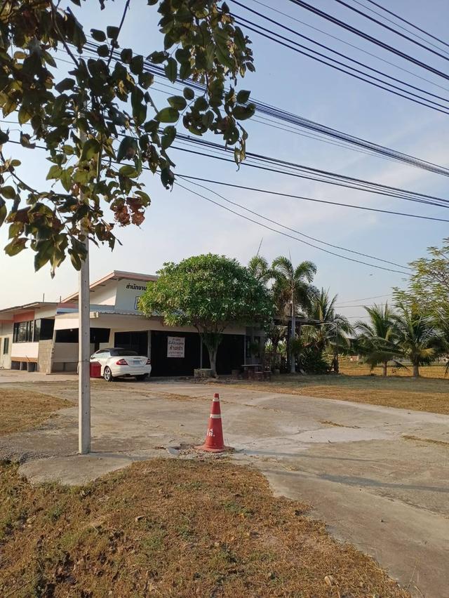 ที่ดินแปลงสวยติดถนนใกล้วัดเพลงปากท่อ 5