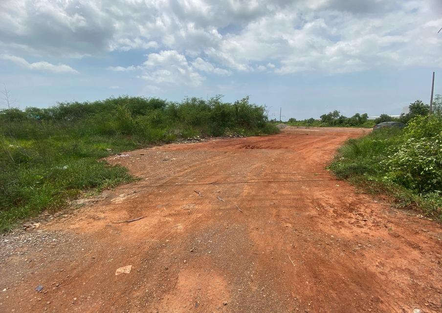 ขายที่ดินแม่กลอง 6 ไร่ 3 งาน 49 ตรว 8