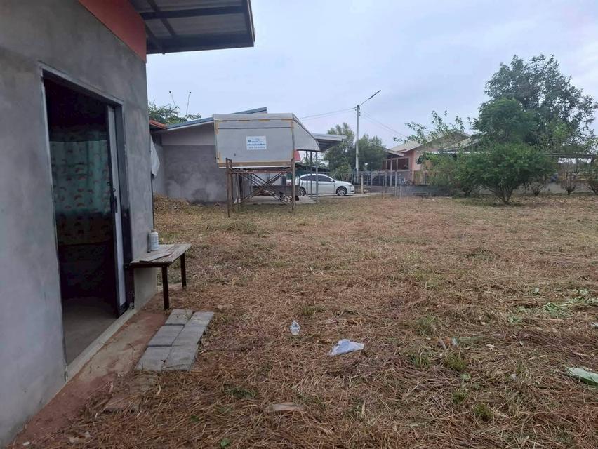 ขายบ้าน 2 หลัง พร้อมที่ดิน หมู่บ้านหนองนา พัฒนานิคม ลพบุรี 4