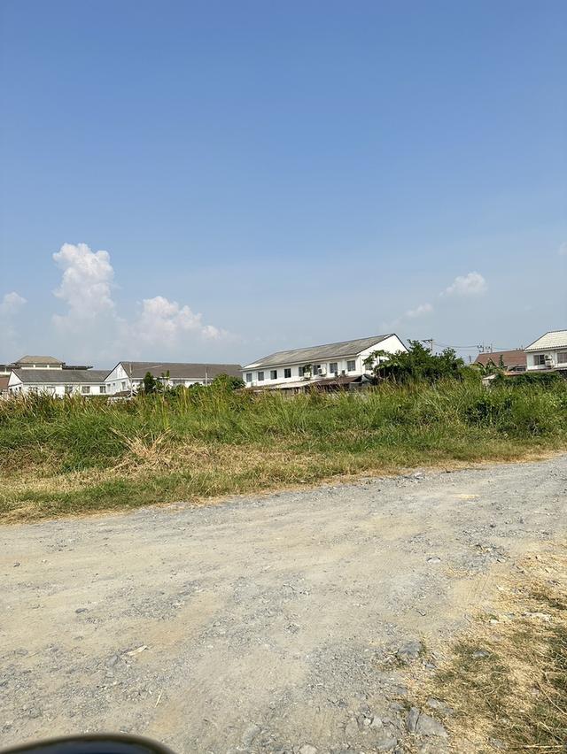 ขายที่ดิน 100 ตรว. ต.ไร่ขิง อ.สามพราน จ.นครปฐม 2