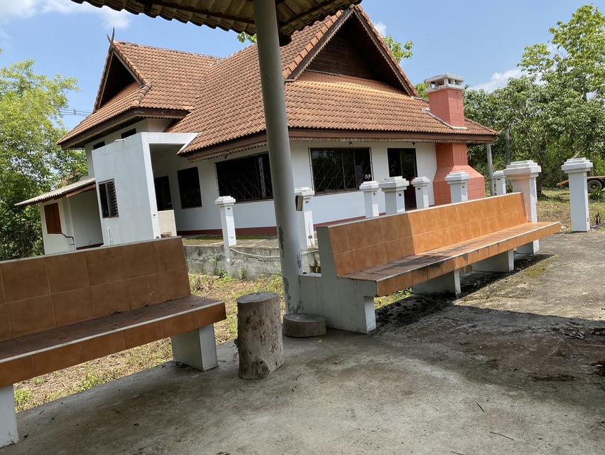 บ้านพร้อมที่ดิน 12