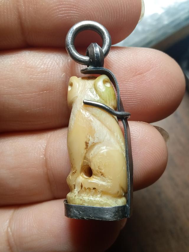 เขียวเสือแกะจับเงินเก่า 2